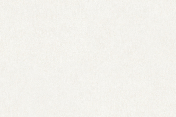 15023-1 Обои Alessandro Allori Argiano